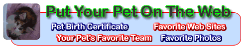 A personal website for your pet. Show your pet's favorite teams, websites, and favorite pet photos.