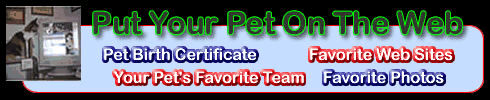 A personal website for your pet. Show your pet's favorite teams, websites, and favorite pet photos.